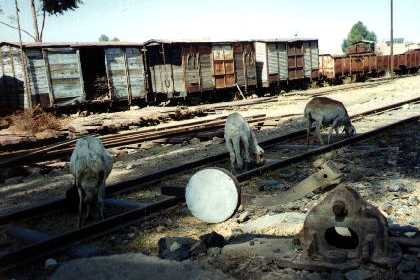 asmara railway depot 5.jpg